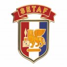 ARMY SETAF EUROPE TASK FORCE  COMBAT SERVICE IDENTIFICATION ID MILITARY  BADGE