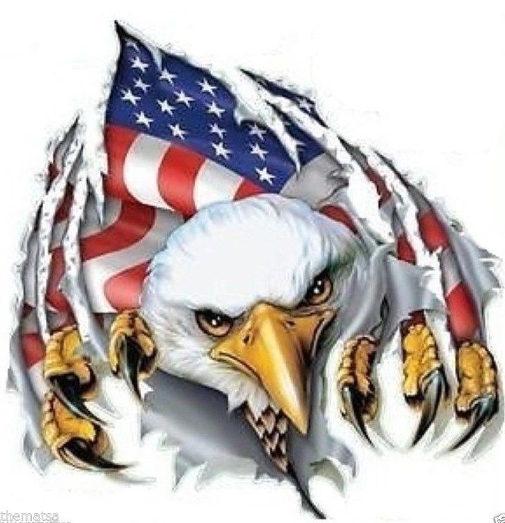 AMERICAN FLAG EAGLE HELMET BUMPER STICKER DECAL MADE IN USA