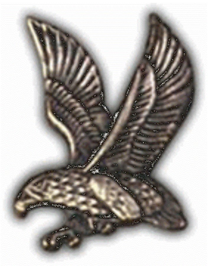 AIR FORCE FALCON LEFT LAPEL HAT PIN