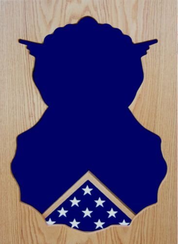 SECURITY FORCE MILITARY AWARD WOOD SHADOW BOX MEDAL DISPLAY CASE