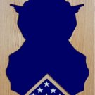 SECURITY FORCE MILITARY AWARD WOOD SHADOW BOX MEDAL DISPLAY CASE