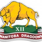 XII MANITOBA DRAGOONS CANADA ARMY 4" HELMET BUMPER DECAL STICKER USA MADE