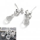 24526-sterling silver with resin earring