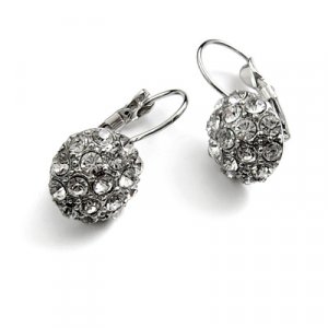 24745-alloy with rhinestoe earring