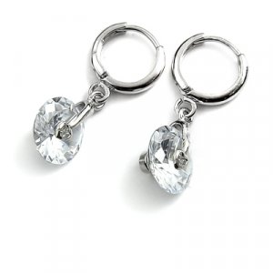 24782-alloy with stone earring