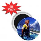 Warrior Tidus ffx/ff10--10-1 inch Mini Magnets
