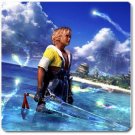 Warrior Tidus ffx/ff10--square Magnet