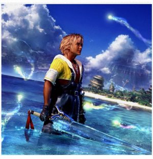 Warrior Tidus ffx/ff10--medium glasses cloth
