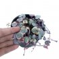 HOYA HEART VARIEGATED free phytosanitary