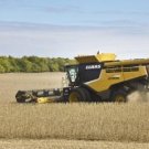 CLAAS LEXION (NORTH AMERICA) 750-730 COMBINE PARTS CATALOG MANUAL (SN: C7800011-C7899999) CLAAS LEXION (NORTH AMERICA) 750-730 COMBINE PARTS CATALOG MANUAL (SN: C7800011-C7899999)