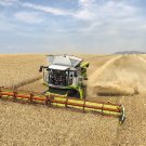 CLAAS LEXION (NORTH AMERICA) 770-760 COMBINE PARTS CATALOG MANUAL CLAAS LEXION (NORTH AMERICA) 770-760 COMBINE PARTS CATALOG MANUAL