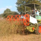 CLAAS CROP TIGER 30 WHEEL COMBINE PARTS CATALOG MANUAL (SN: 03500011-03500115) CLAAS CROP TIGER 30 WHEEL COMBINE PARTS CATALOG MANUAL (SN: 03500011-03500115)