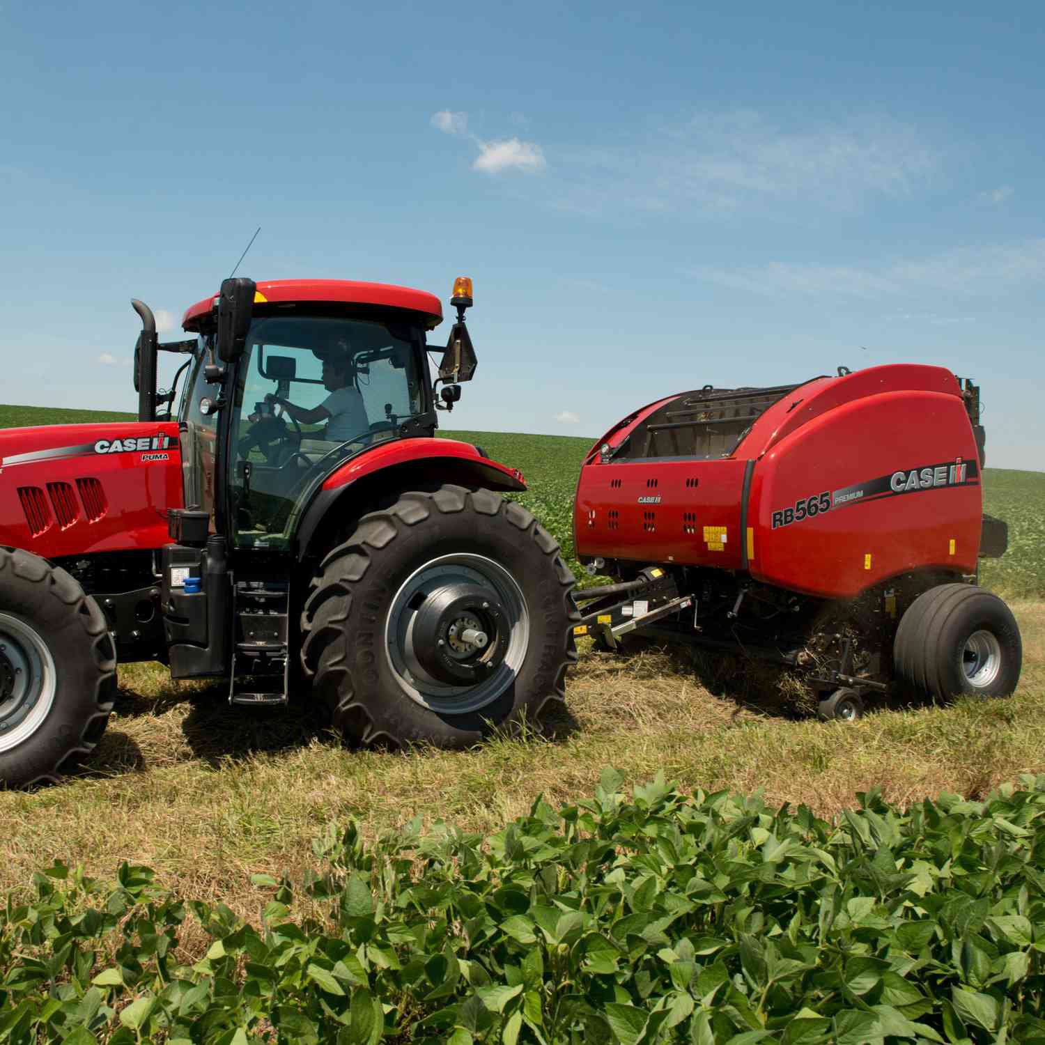 Case IH Rbx553 Round Baler Parts Catalog Manual PDF