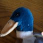TY BEANIE BABY Jake the Mallard Duck April 16,1997  Retired has 2 errors