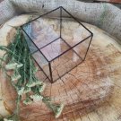 Geometric stained glass terrarium, succulent/moss pot,  wedding centerpiece, minimalist home decor