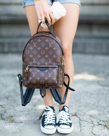 Louis Vuitton Palm Springs MM Monogram Backpack