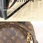Louis Vuitton Palm Springs PM Monogram Backpack