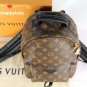 Louis Vuitton Palm Springs PM Monogram Backpack