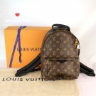 Louis Vuitton Palm Springs PM Monogram Backpack
