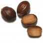 100% Pure natural high quality Ceylon Nutmeg Seeds From Sri Lanka without Shell
