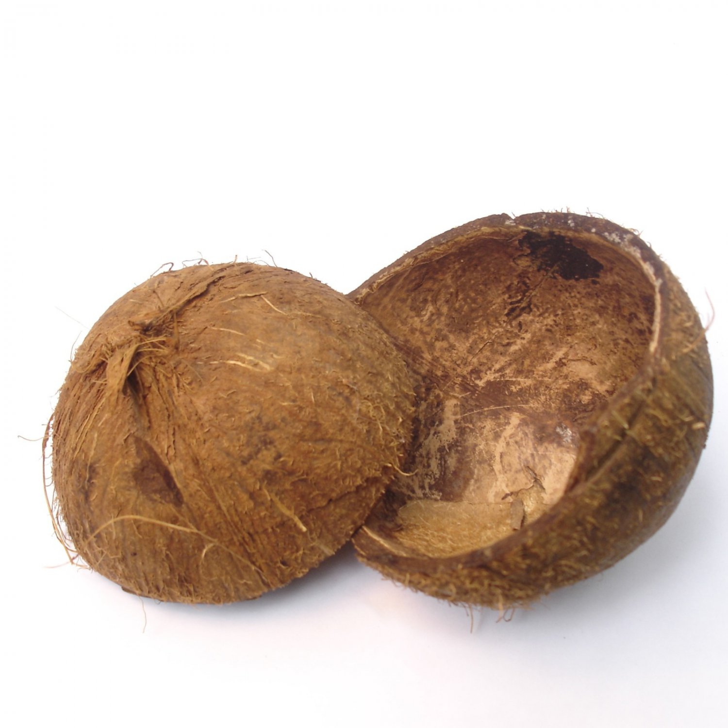 5Pcs coconut shell Eco Friendly 100% Natural Halves CeylonProduct Free shipping