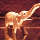 Elephant w/trunk up