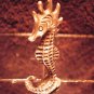 Seahorse small