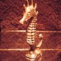 Seahorse