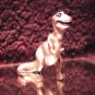 Tyrannosaurus Rex