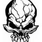 Skull Vinyl Auto Car Truck Window Decal Sticker #sku-001