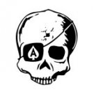 Skull Vinyl Auto Car Truck Window Decal Sticker #sku-005