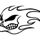 No Fear Flames Skull Vinyl Auto Car Truck Window Decal Sticker #sku-019
