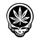 Greatful Dead Skull with Pot Leaf Window Graphic Decal sku-030