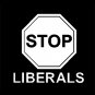6" Anti Stop Liberals Vinyl Decal Window Sticker