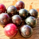 Myrciaria Floribunda Dark Purple Fruit Cambuizeiro Guavaberry Rumberry Plant