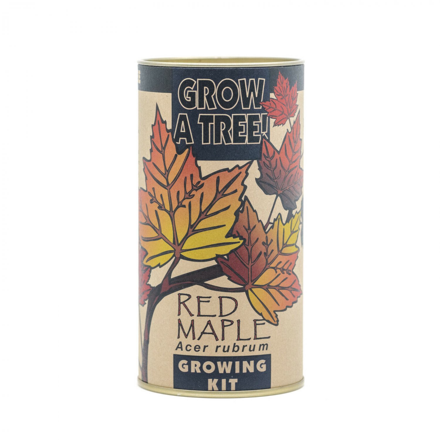 Red Maple | Tree Seed Grow Kit | The Jonsteen Company