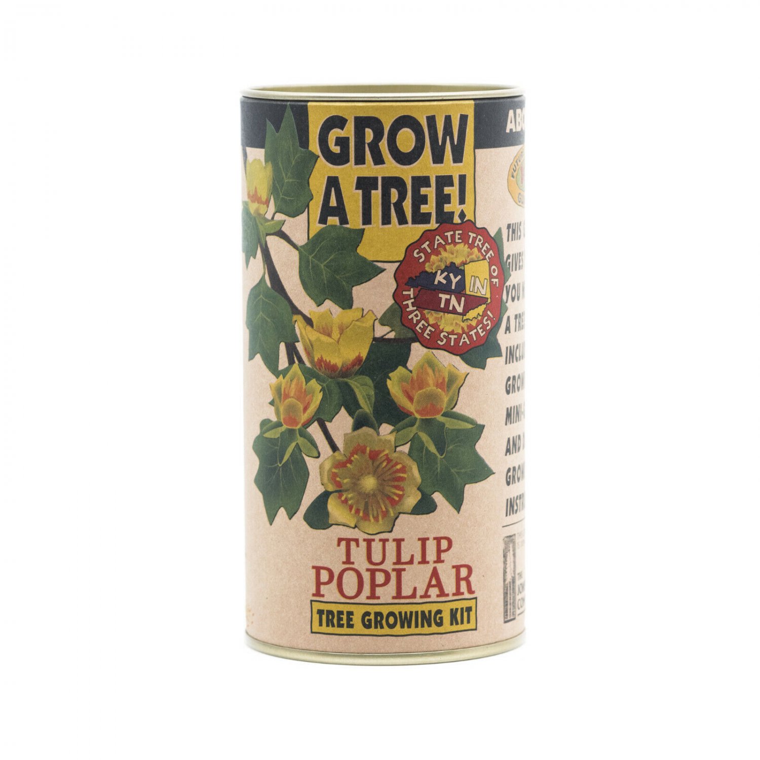 Tulip Poplar | Tree Seed Grow Kit | The Jonsteen Company
