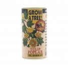 Tulip Poplar | Tree Seed Grow Kit | The Jonsteen Company