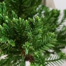 Green Robusta Juniper Tree Cold Hardy Spiral Grower Live Starter Plant 1 Qt Pot