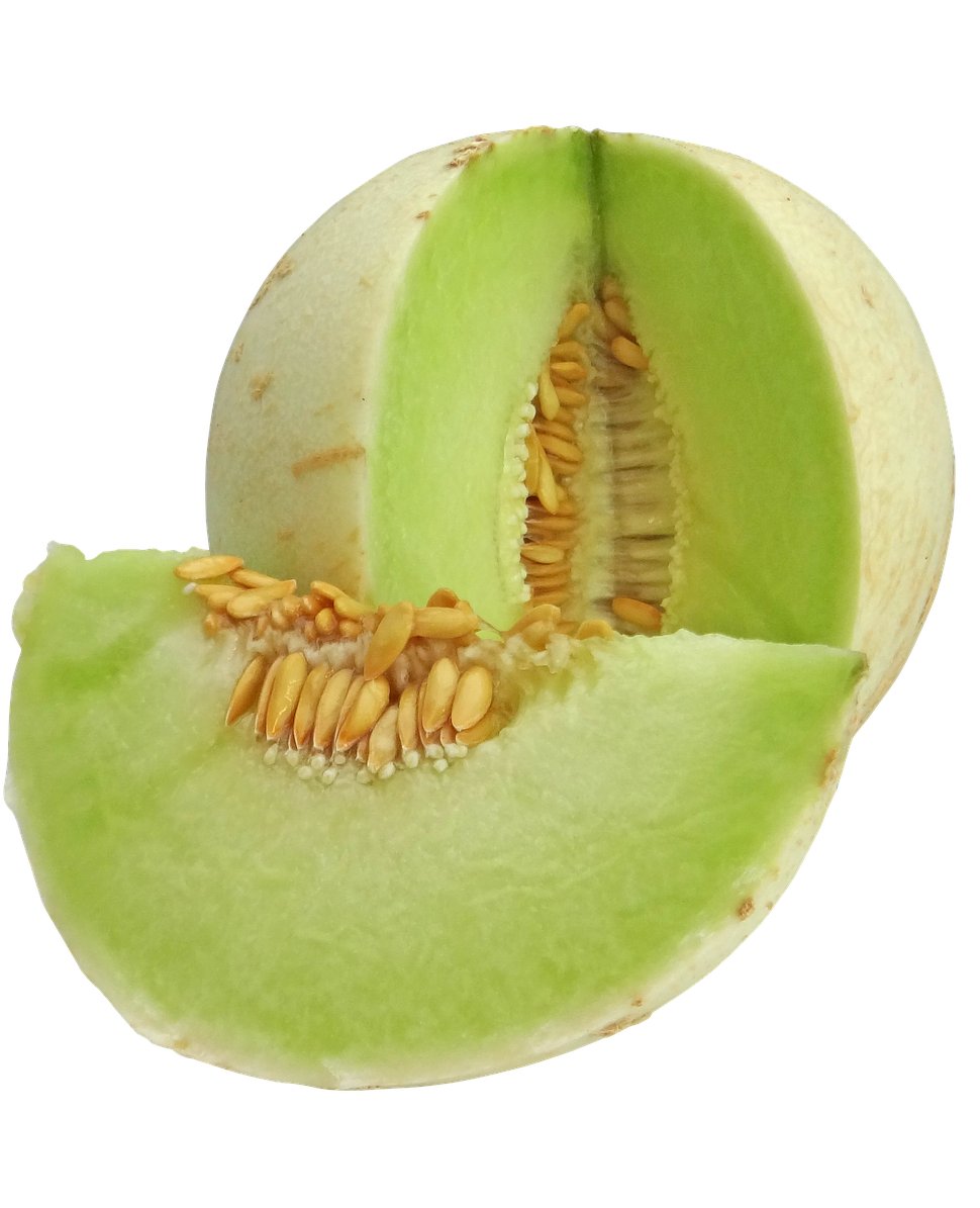 amazing-idea-how-to-grow-honeydew-melon-at-home-easy-for-beginners