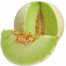 HONEYDEW 75 SEEDS FALL FRESH SUPER SWEET AUTUMN MELON FRUIT NON-GMO HEIRLOOM USA