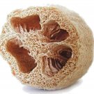 LOOFAH SEEDS SPONGE LUFFA VEGETABLE SPRING HEIRLOOM VINE GOURD LOOFA NON-GMO USA