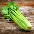 3000+ TALL CELERY SEEDS SPRING GARDEN VEGETABLE HARDY TASTY HEIRLOOM NON-GMO US