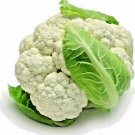 600+ CAULIFLOWER SEEDS SNOWBALL SPRING VEGETABLE HUGE HEIRLOOM GARDEN NON-GMO US