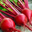 200+ DETROIT BEET SEEDS SPRING GARDEN FALL BEETROOT NON-GMO VEGETABLE HEIRLOOM