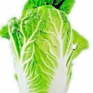 500+ CHINESE CABBAGE SEEDS SPRING GARDEN VEGETABLE SALADS GREENS HEIRLOOM USA