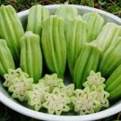 1000+ OKRA CLEMSON SEEDS GARDEN VEGETABLE GARDEN ALL-AMERICAN WINNER NON-GMO USA