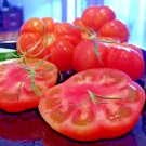 GIANT BEEFSTEAK RARE TOMATO MARMANDE HUGE HEIRLOOM NON-GMO TASTY JUICY 30 SEEDS