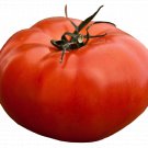 100 SEEDS TOMATO ALL-AMERICAN GIANT BEEFSTEAK MASSIVE FRUITS HEIRLOOM VEGETABLE