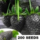 200 SEEDS Black Strawberries Berries Plants Garden